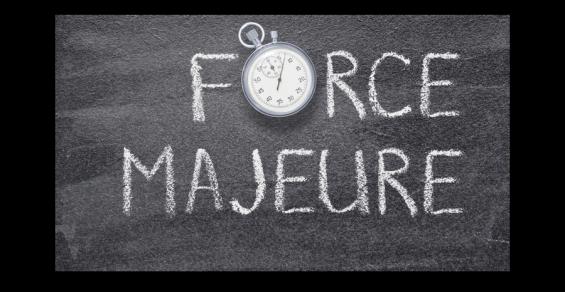 Corporate Group Wins Precedent-Setting Force-Majeure Case